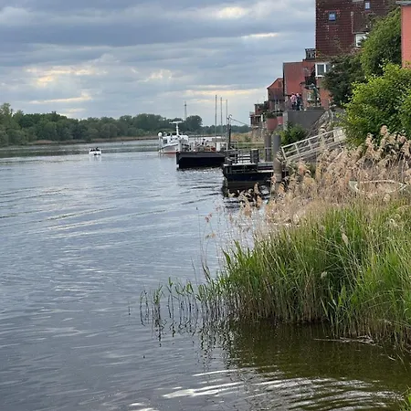 Millers Kate Mit Elbblick